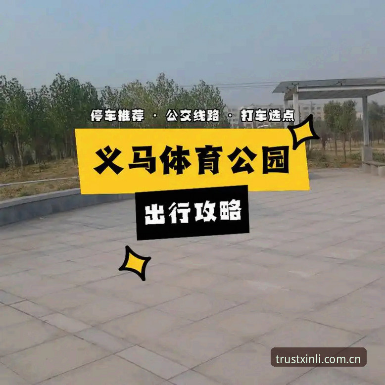 资深用户实战分享：新利体育赛事使用指南全攻略